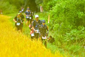 BIB: 
                            <button type="button" onclick="openModal(13456209)" class="btn btn-primary btn-sm float-right btn-popup" data-toggle="modal" data-target=".modal-high-quality">
                        <i class="fas fa-shopping-cart"></i> Add to Cart
                    </button>
                                            <button type="button" onclick="isThisMe(13456209, true)" class="btn btn-success btn-sm float-right btn-popup btn-isme hidden" data-toggle="tooltip" data-placement="bottom" title="นี่คือรูปของคุณใช่ไหม คลิกที่นี่เพื่อเอาเข้าอัลบั้ม">
                        <i class="fas fa-plus"></i> Add to album
                    </button>
                    <button type="button" onclick="isThisMe(13456209, false)" class="btn btn-warning btn-sm float-right btn-popup btn-isnotme hidden">
                        <i class="fas fa-ban"></i> Remove from album
                    </button>